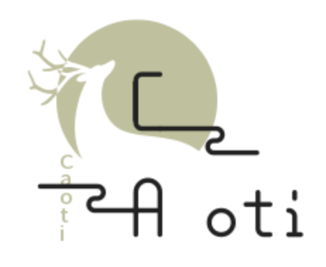 Caotir Store